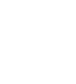 escudo-los-llanos-de-aridane.png